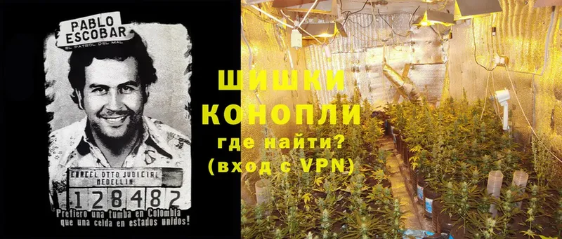 продажа наркотиков  Кисловодск  МАРИХУАНА OG Kush 